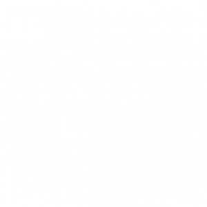Logo blanc de beauté attitude
